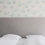 ホテル Rotonda 3*